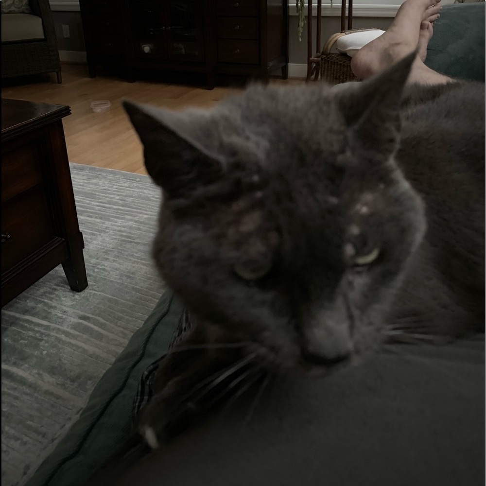 Meet your Posher, Andrew